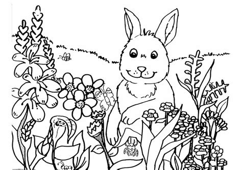 ideas spring toddler coloring pages home family style