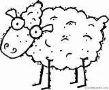 Coloring4free Sheep Coloring Pages Outline Printable Related Posts sketch template