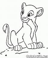 Nala Simba Pages Colorkid sketch template