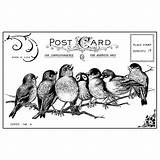 Overstock Choose Board Stamp sketch template