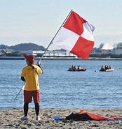 海岸での旗取り に対する画像結果.サイズ: 174 x 185。ソース: www.tokyo-np.co.jp