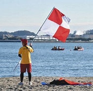 海岸での旗取り に対する画像結果.サイズ: 189 x 185。ソース: www.tokyo-np.co.jp