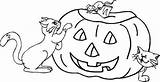 Calabaza Pumpkin Muertos Fantasmas 66n Cat Benefits Castanyada Stumble sketch template