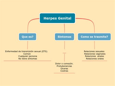 Herpes Genital Mapa Mental Amostra