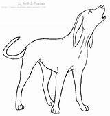 Coloring Pages Blue Dog Coon Drawing Hound Tick Lineart Getdrawings Printable sketch template