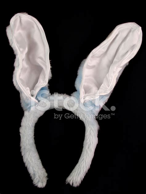 bunny ears stock photo royalty  freeimages