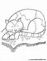 Coloring Pages Cat Sleeping Nap Toyota Bed Getcolorings Color Printable Colori Appealing Print sketch template