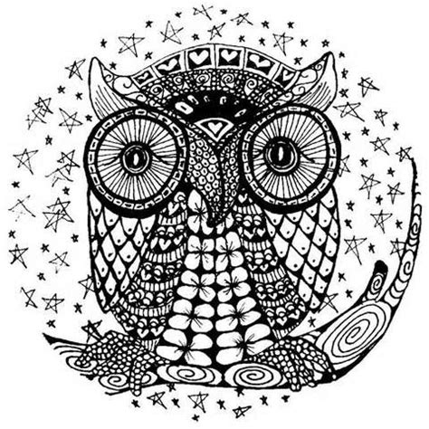 owl coloring pages  adults google search owl coloring pages