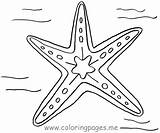 Starfish Coloring Star Pages Drawing Sea Fish Line Color Printable Print Kids Drawings Ocean Getdrawings Designlooter Choose Board Coloringpages Site sketch template