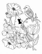 Cardinal Sparrow Dogwood sketch template
