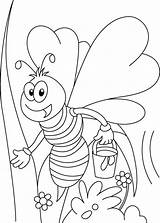 Mewarnai Lebah Bee Sketsa Paud Biene Bees Insect Ayo Bermanfaat Meningkatkan Jiwa Semoga Kreatifitas Truy Cập Bestcoloringpages Wickedbabesblog sketch template