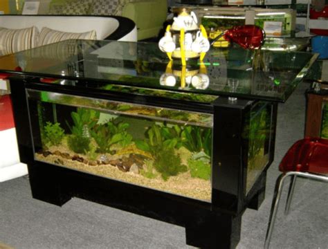 attractive collection  aquarium furniture designs