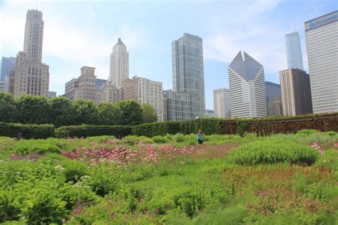 top  beautiful gardens  escape   chicago