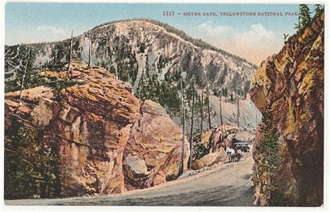 42118a Vintage Postcard Yellowstone National Park Wy Silver Gate Coach