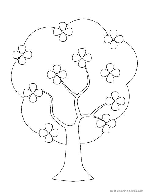 images  printable tree coloring page flowers magnolia tree