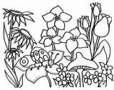 Garden Pages Coloring Secret Getcolorings sketch template