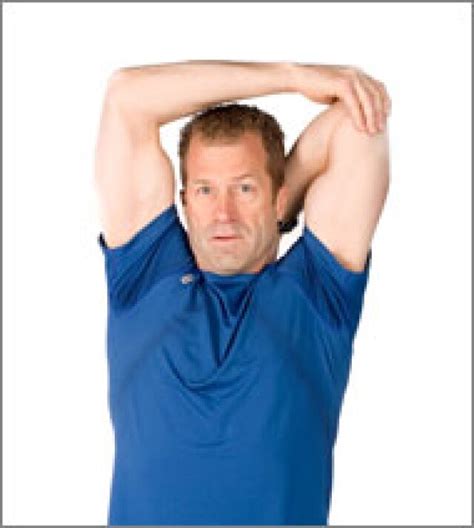 flexibility  stretches   stretch  workout routine diet