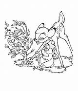 Bambi Coloring Pages Printable Kids Print sketch template