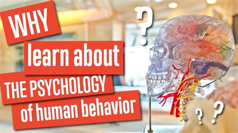 why learn about psychology and human behavior youtube