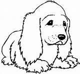 Coloring Cocker Spaniel Dog Getcolorings Pages Color Printable sketch template