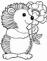 Hedgehog Coloring Flower Drawings sketch template