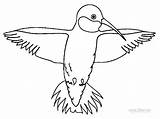 Hummingbird Kolibri Cool2bkids Druckbare sketch template