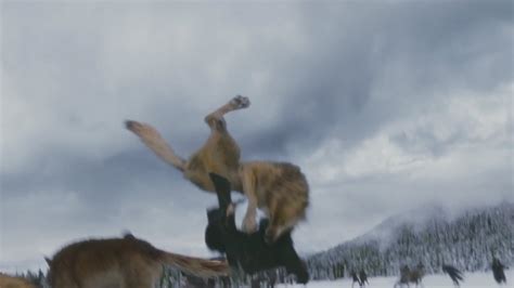 Image Taylor Lautner Wolf Jacob Attacks Twilight