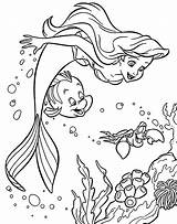 Sereia Sirenita Arielle Prinzessin Colorear Ausmalen Ausmalbild Meerjungfrau Malvorlage Comofazeremcasa sketch template