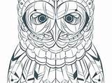 Chouette Mandala Coloriage Hiboux Coloriages Owl sketch template