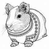 Coloring Pages Pig Guinea świnki Morskie Guniea Pigs Printable Illustration Cute Drawings Hamsters Adult Adults Funny sketch template
