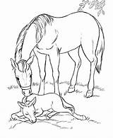 Coloring Pages Horse Kids Labels Animal sketch template