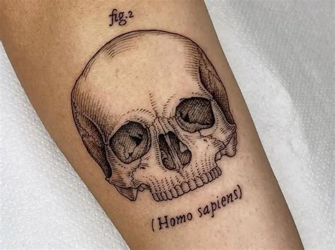 aggregate  minimal skull tattoo  esthdonghoadian