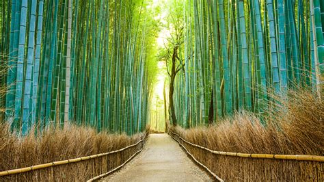 25 Most Beautiful Places In Japan Beautiful Places In Japan Photos