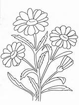 Flower Coloring Pages Chamomile Printable Flowers Outline Drawing Line Embroidery Kids цветы Choose Board Print Color Designs sketch template
