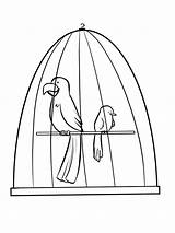 Vogels Vogelkooi Kleurplaat Leukekleurplaten Kleurplaten sketch template