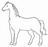 Cavallo Disegnare Cavalli Stampare Colorate sketch template