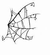 Spider Spiderweb Webs Spinnennetz Cobweb sketch template