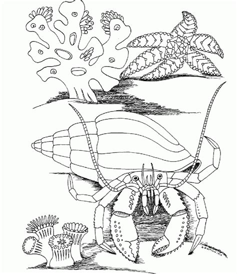 world coloring page   world coloring page png images
