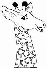 Giraffe Face Drawing Coloring Pages Cartoon Getdrawings sketch template