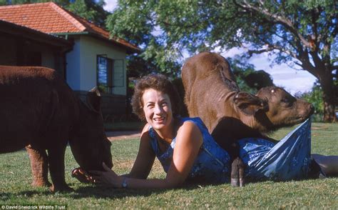 dame daphne of sheldrick widlife trust talks about her