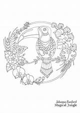 Basford Johanna Jungle Toucan Magical Coloring Pages Book Books Postcards Colouring Adult Inky Adults sketch template