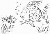 Fish Coloring Drawing Reef Coral Rainbow Scales Template Paintingvalley sketch template
