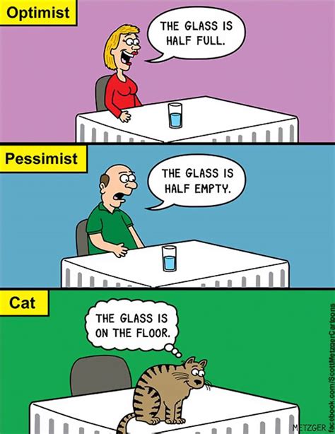 this man has been creating cat cartoons for over 20 years and here are 40 of the best ones
