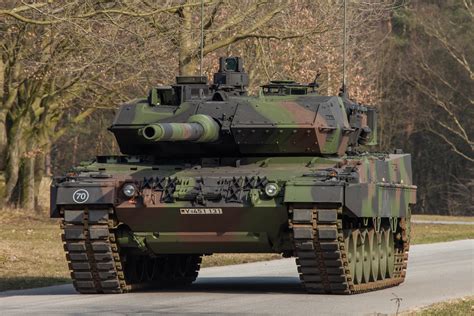 german leopard  prowling  range rtankporn