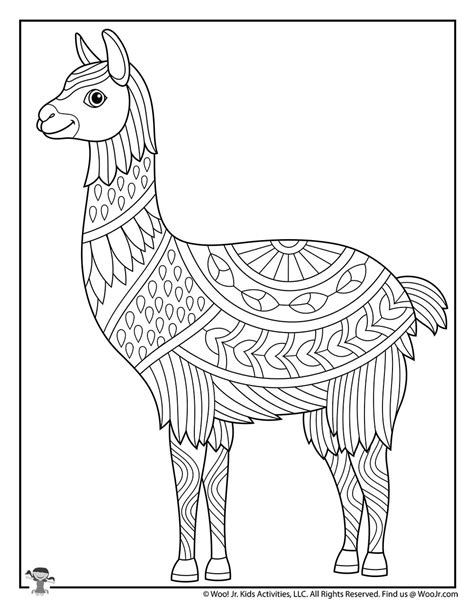 llama easy adult coloring animals woo jr kids activities children