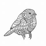 Zentangle Vogel Gestileerde Stilizzato Stilisierte Maglietta Uccello Sparrow Schizzo Tatuaggio Kolibrie Tatoegering Schets Gorilla Testa Doodle Kidspressmagazine sketch template