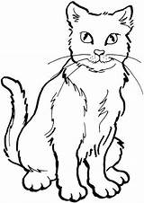 Hewan Gambar Sketsa Mewarnai Kucing Darat Marimewarnai Gambarcoloring Lengkap Terlengkap Impressionnant Abis Udara Diposting Coloring sketch template