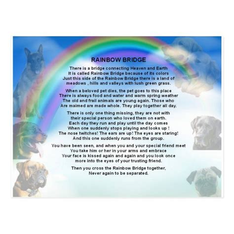 rainbow bridge poem postcard zazzlecom   rainbow bridge poem
