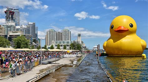 world s largest rubber duck delays fort worth migration again nbc 5