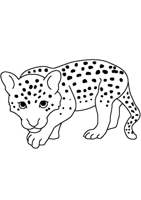 coloring pages baby cheetah coloring page